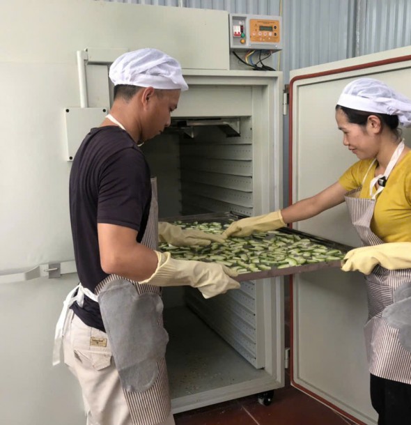 Quy trình sản xuất trà bí thơm