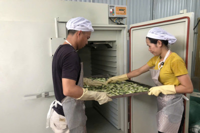 Quy trình sản xuất trà bí thơm