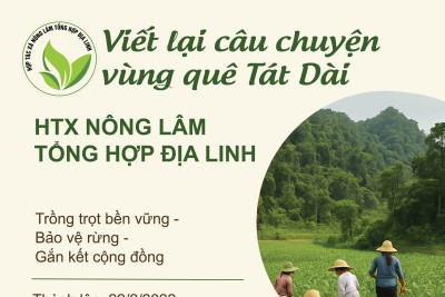 Câu chuyện địa phương