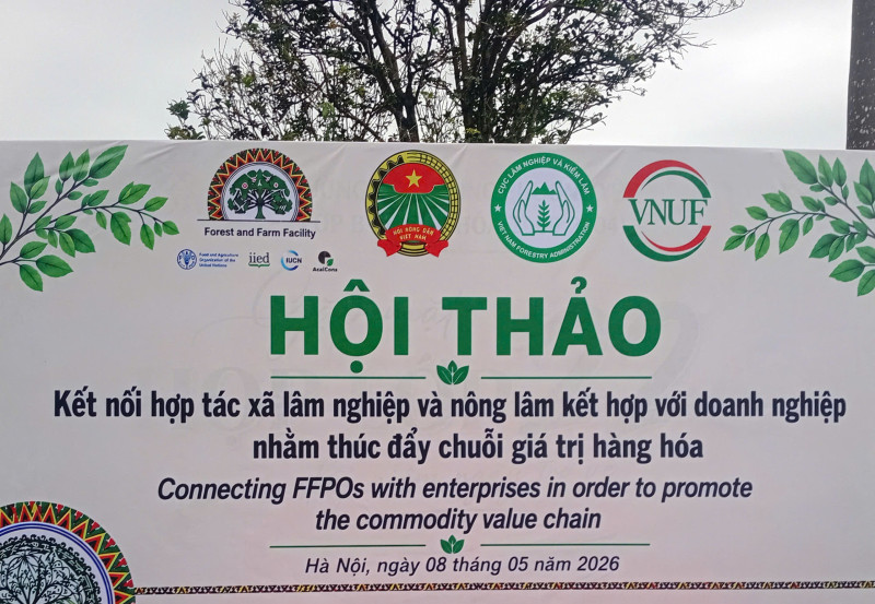 HỢP TÁC XÃ NÔNG LÂM TỔNG HỢP ĐỊA LINH THAM DỰ HỘI THẢO KẾT NỐI HTX LÂM NGHIỆP VÀ DOANH NGHIỆP TẠI TRƯỜNG ĐẠI HỌC LÂM NGHIỆP