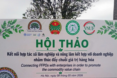 HỢP TÁC XÃ NÔNG LÂM TỔNG HỢP ĐỊA LINH THAM DỰ HỘI THẢO KẾT NỐI HTX LÂM NGHIỆP VÀ DOANH NGHIỆP TẠI TRƯỜNG ĐẠI HỌC LÂM NGHIỆP