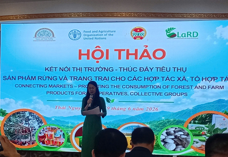 HTX ĐỊA LINH THAM DỰ HỘI THẢO KẾT NỐI THỊ TRƯỜNG, THÚC ĐẨY TIÊU THỤ SẢN PHẨM RỪNG VÀ TRANG TRẠI