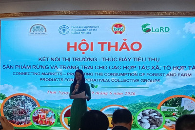 HTX ĐỊA LINH THAM DỰ HỘI THẢO KẾT NỐI THỊ TRƯỜNG, THÚC ĐẨY TIÊU THỤ SẢN PHẨM RỪNG VÀ TRANG TRẠI