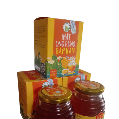 MẬT ONG RỪNG BẮC KẠN