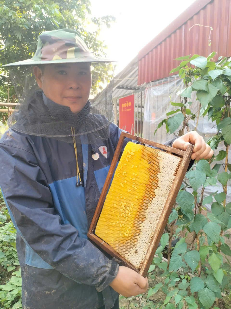 thành viên thu hoạch ong