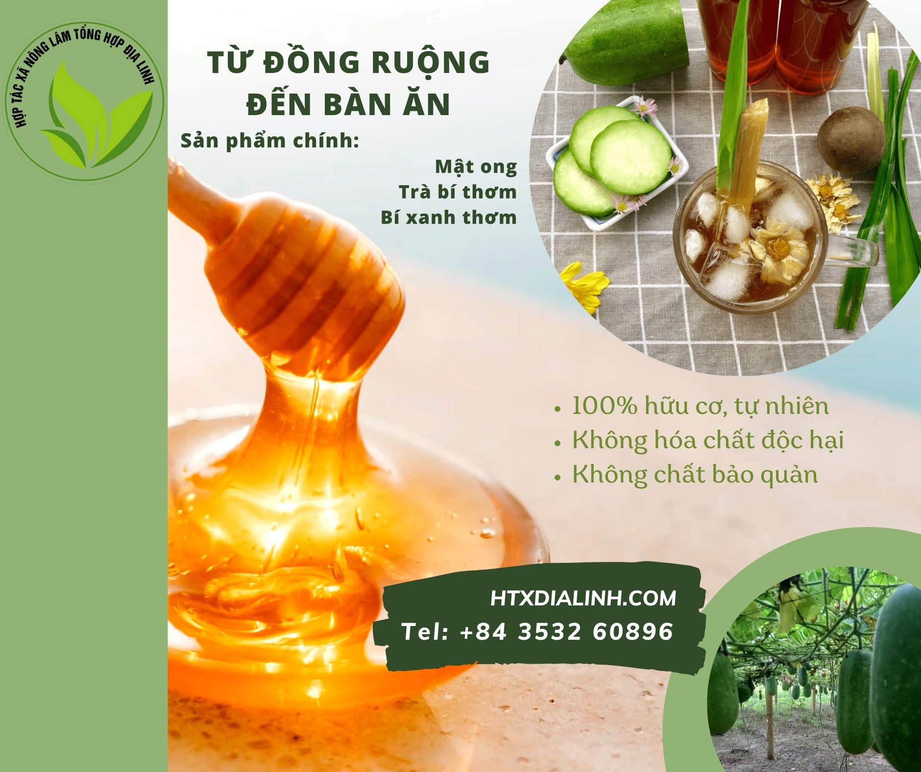 HTX Địa Linh