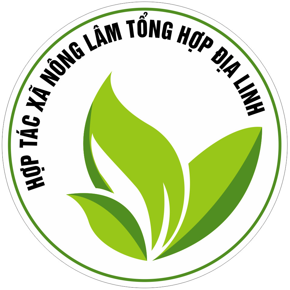 Các mạng lưới liên kết